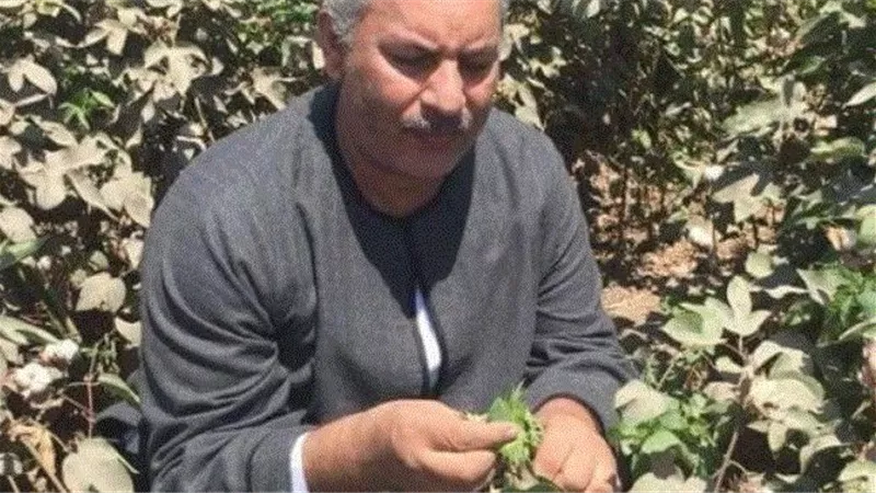 نقيب الفلاحين عايزين وزير زراعه صيفي واخر شتوي