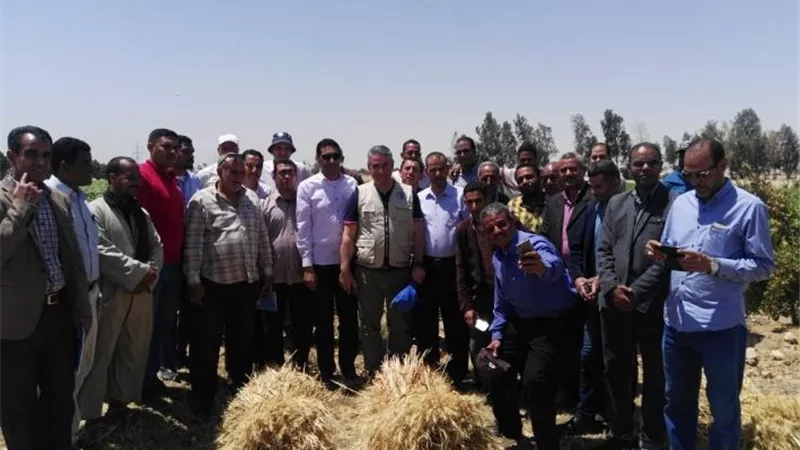 بالصور ..الزراعة تنظم مع الفاو دورة تدريبية على مكافحة دودة الحشد الخريفية بالاقصر