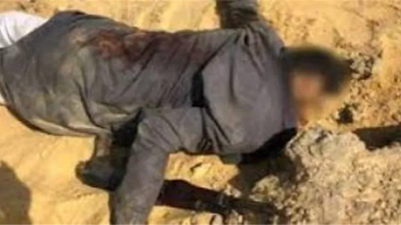 مصرع واصابة 11 شخص فى مشاجره بين عائلتين بابو تشت