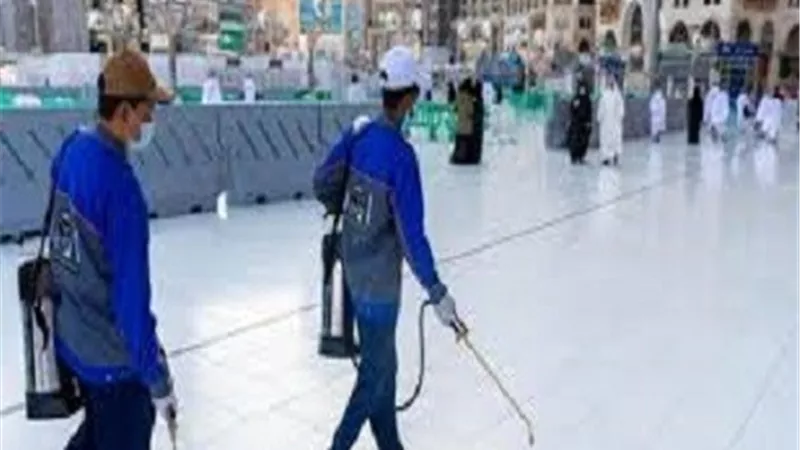 رئاسة المسجد النبوي تواصل أعمالها لمكافحة الحشرات