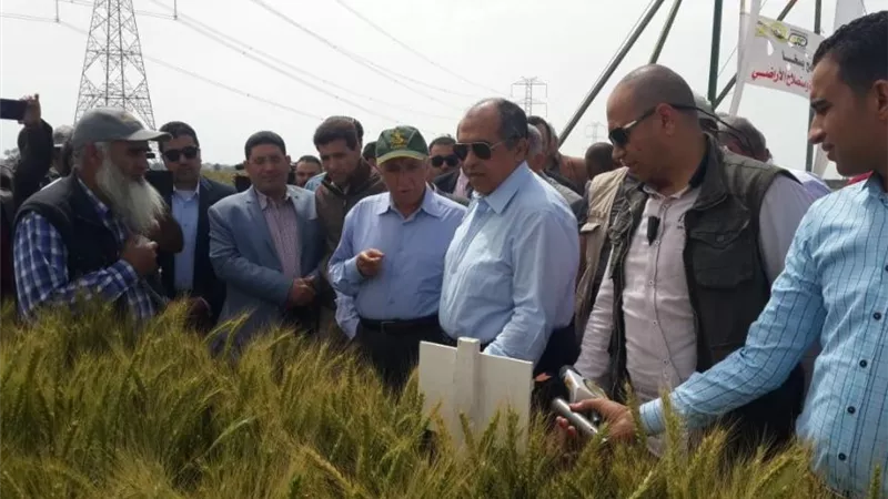 وزير الزراعة يتفقد محصول القمح بمحطة بحوث سخا في كفر الشيخ