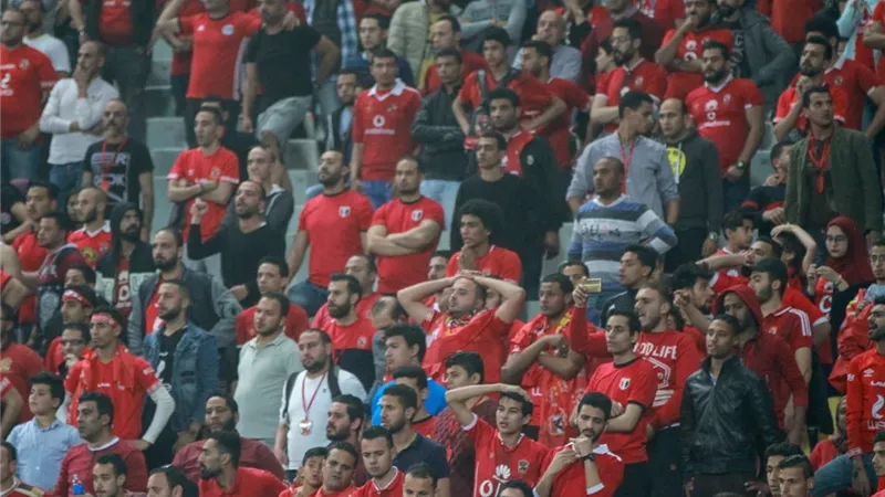 عمرو أديب: يا بخت الأهلى بجمهوره