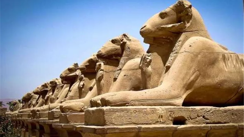 الآثار تنظم فاعليات