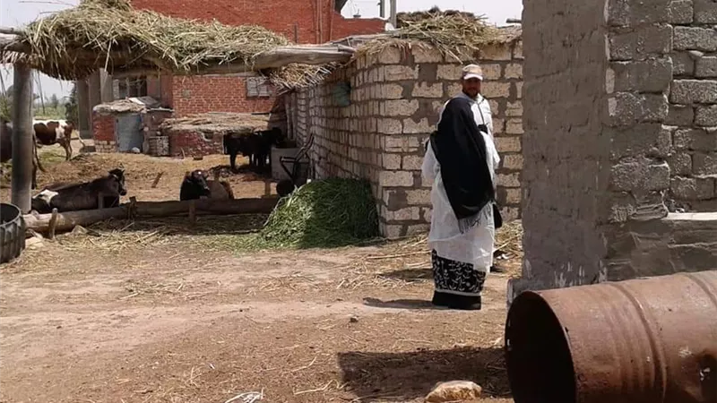 بيطرى بورسعيد.. جولة إرشادية للتوعية والتحصين جنوب بورسعيد