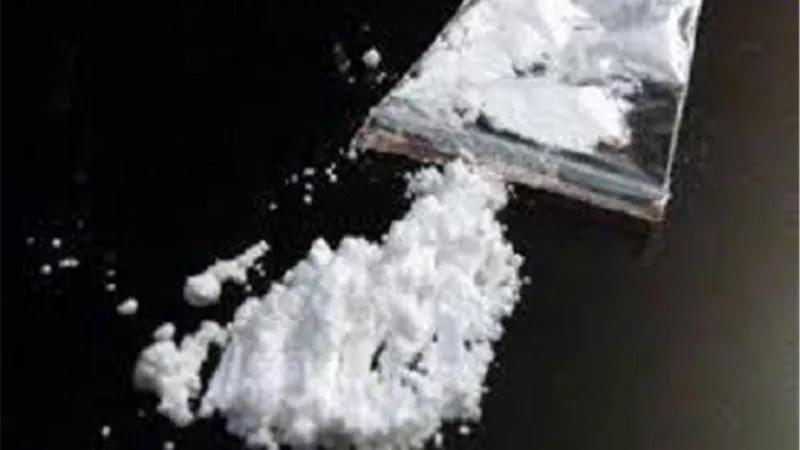 النائب العام يحيل تشكيل تركي تخصص في جلب الكوكايين للجنايات