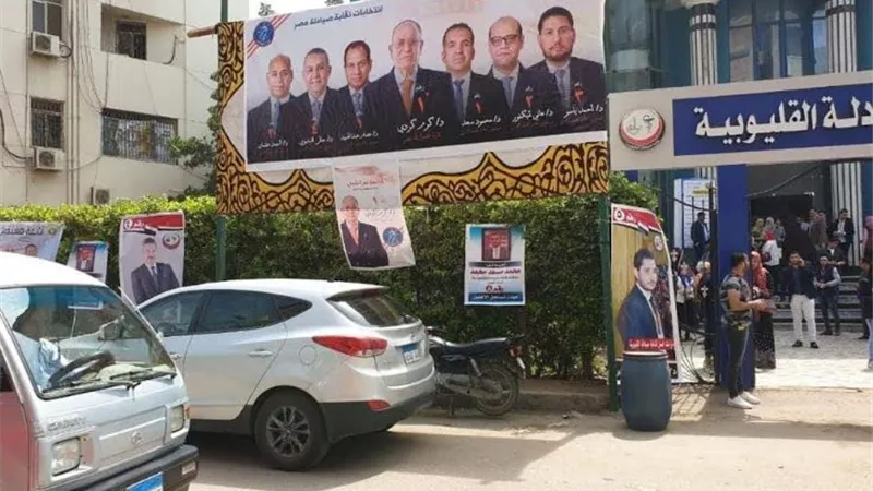 إنطلاق إنتخابات نقابة الصيادلة بالقليوبية وثابت نقيبا بالتزكية