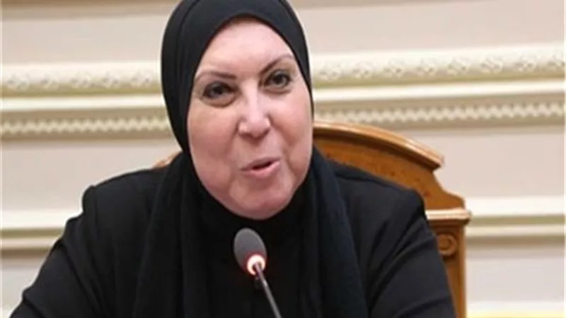 نيفين جامع: دور كبير للمشروعات الصغيرة في النهوض بالاقتصاد الوطني