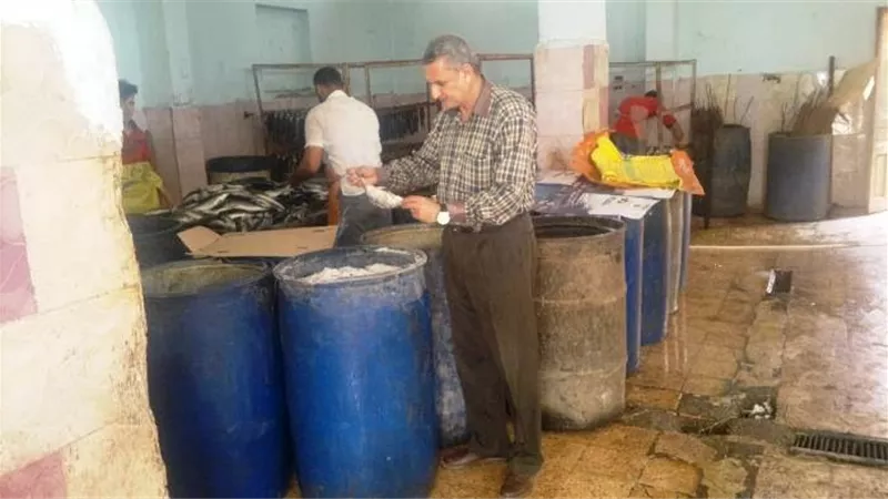 ضبط 2800 كيلو من الرنجة والملح الفاسد بمصنعين بالشرقية