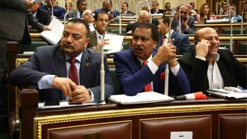 النواب يوافق نهائيا علي التمثيل الملائم للفئات بالمجالس النيابية