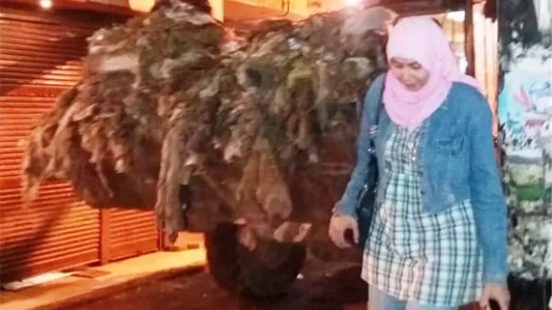 حي العمرانية يرفع مقلب قمامة استمر 15 عام خلال 48 ساعة