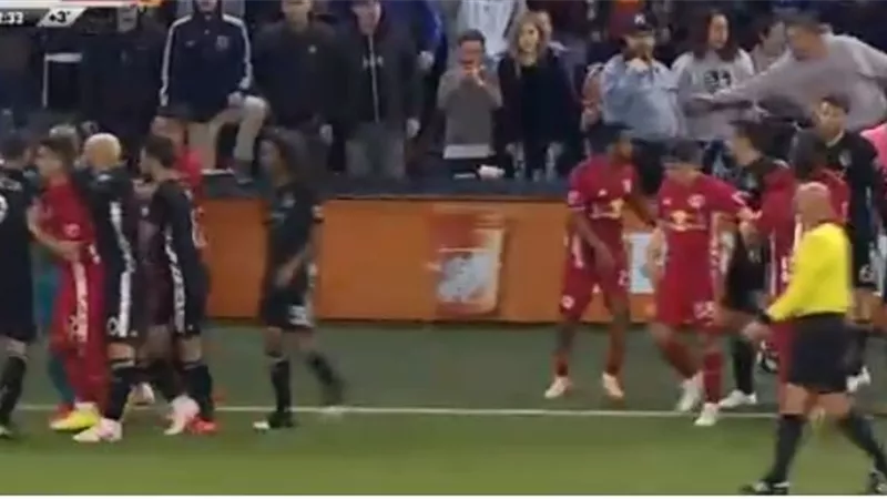 لاعب يصطاد مشجعا ويفسد مباراته فى الدورى
