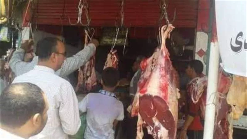 ضبط لحوم غير صالحة بالمحلة