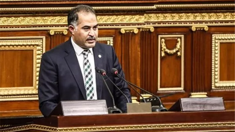 سليمان وهدان: التعديلات الدستورية قدمت مكتسبات لجميع أطياف الشعب