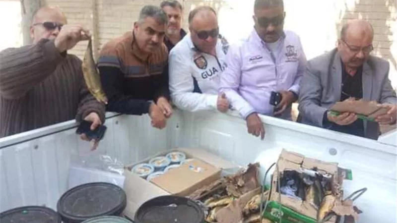 تموين بورسعيد: ضبط ربع طن رنجة غير صالحة للاستهلاك الادمى