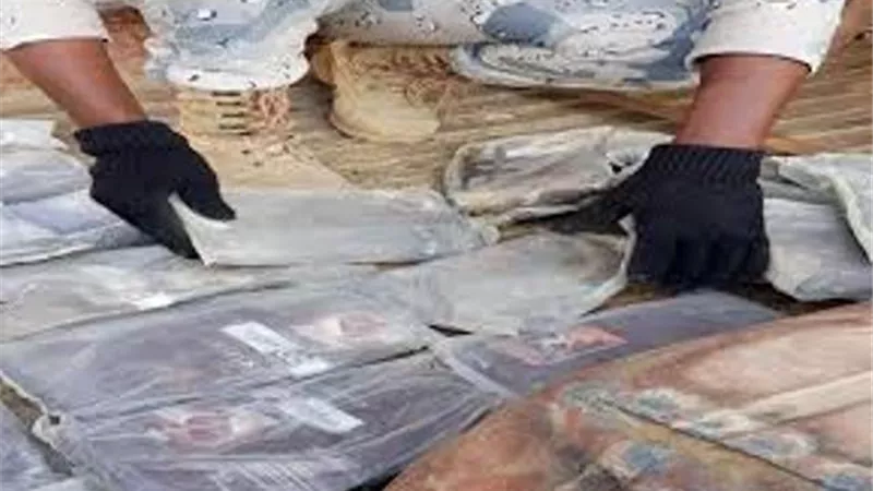 اجهزة الامن تحبط تهريب 100 كيلو جرام من القات المخدر