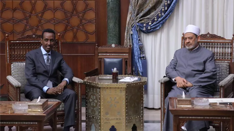 الطيب: المنهج الأزهرى هو طريق الصومال للخروج من نفق التطرف والإرهاب