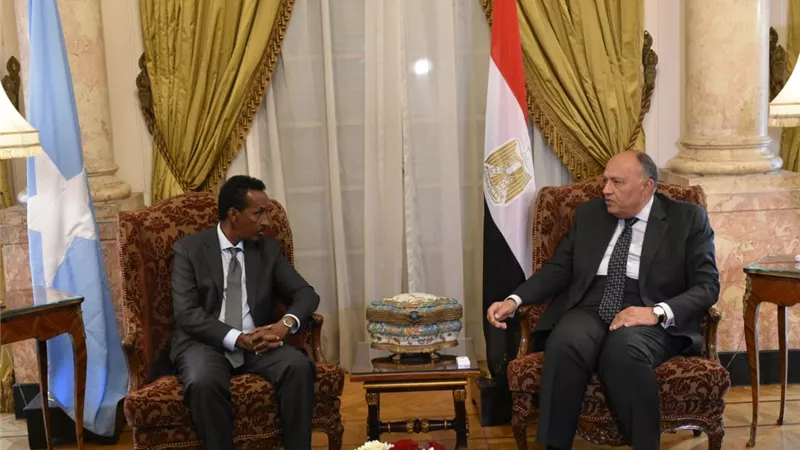 وزير الخارجية ونظيره الصومالى يوقعان ثلاث مذكرات تفاهم