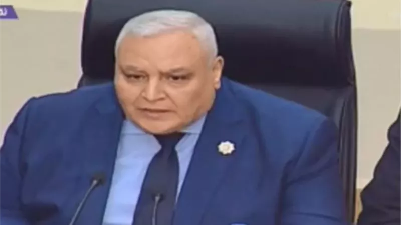 رئيس الوطنية للانتخابات: الاستفتاء تحت إشراف قضائي كامل
