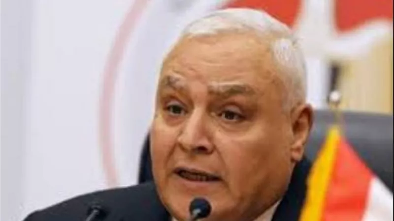 لاشين ابراهيم ..تنسيق مع وزارة الهجرة لتسهيل إجراءات استفتاء المصريين بالخارج