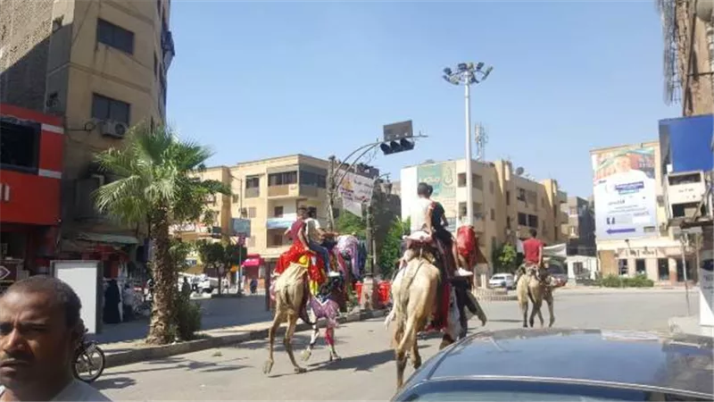 الآلاف فى دورة مولد أبو الحجاج بالأقصر تزامنا مع الإستفتاء