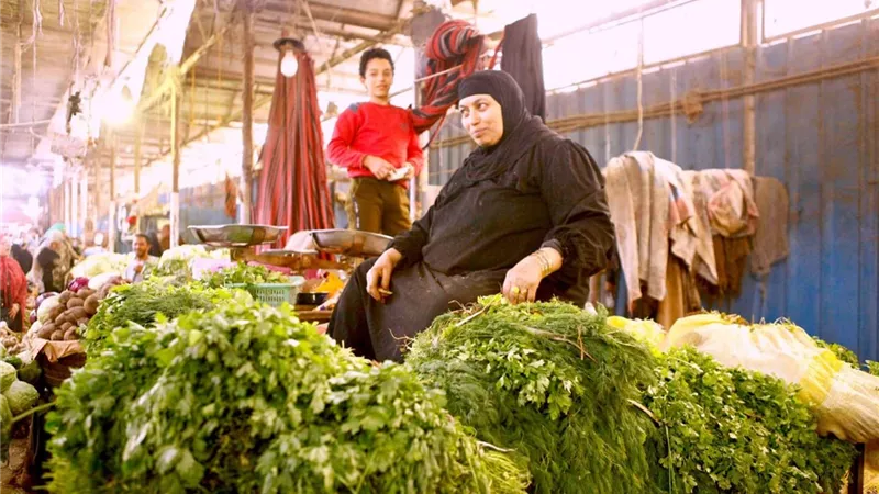 الأربعاء.. اولي فعاليات مبادرة عين السمكة الثقافية السينمائية لدعم قضايا المرأة