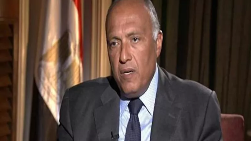 وزيرا خارجية مصر وجنوب افريقيا يؤكدان عمق العلاقات