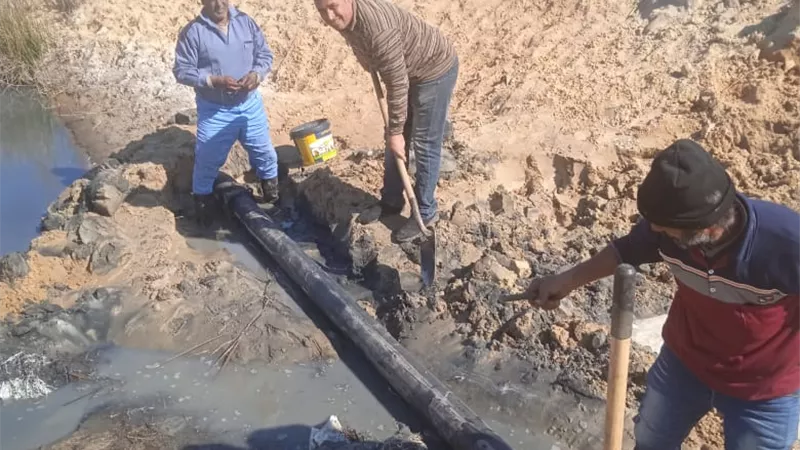 إصلاح كسور واستخراج جذور أشجار من شبكات مياه القناة ..صور