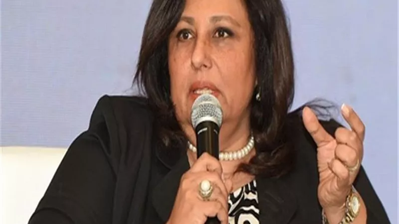 بدر الدين: قانون التنمية يتيح الفرصة للمشروعات متناهية الصغر للنمو