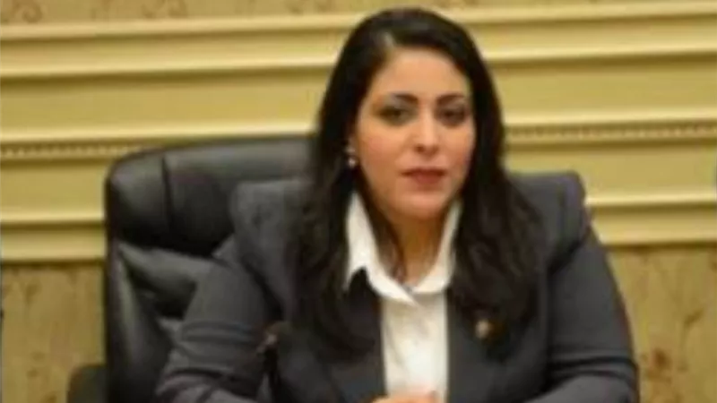 مارثا محروس توجه رسالة للسيدات وتعتذر لهن عن محاولات اجهاض جهود الدولة لمناصرتهن