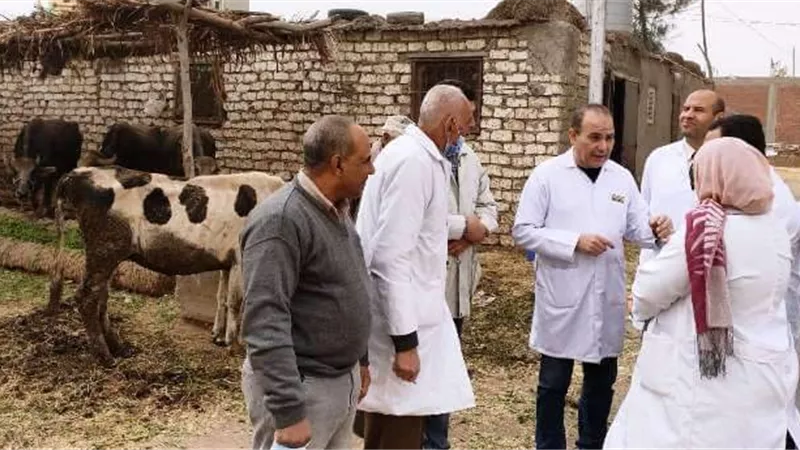 بيطرى الشرقية يحصن 34 ألف رأس ماشية.. بالصور