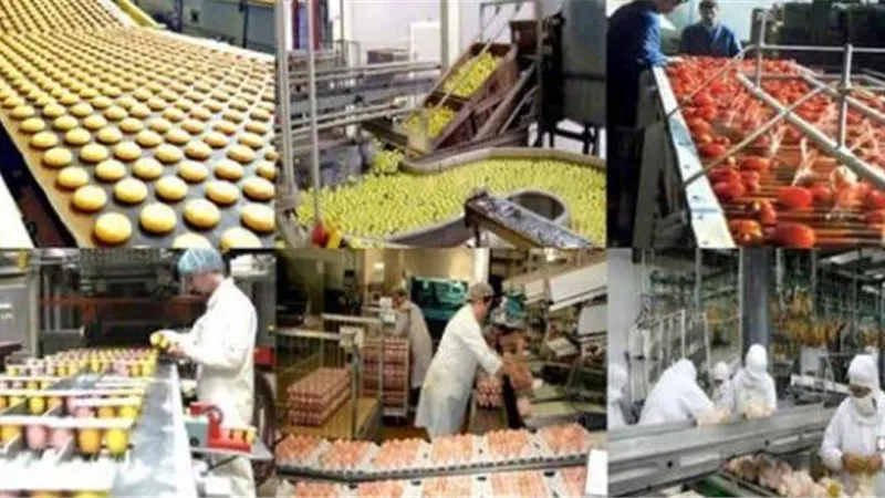 وصلت لـ4.1 مليار دولار .. 19% زيادة في صادرات الصناعات الغذائية خلال 2021