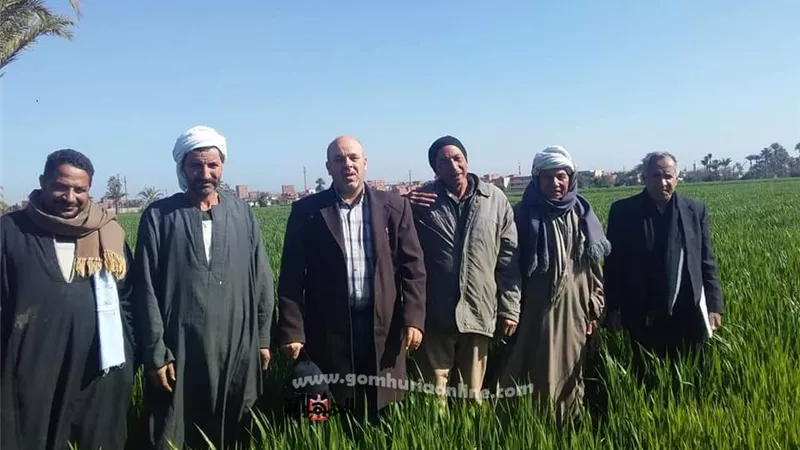 لقاءات ارشاديه حول محصول القمح ببنى سويف