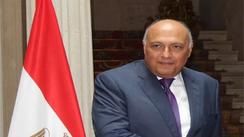 وزير الخارجية يتلقى اتصالاً هاتفياً من نائب رئيس الاتحاد الأوروبي المعني بموضوعات تغير المُناخ