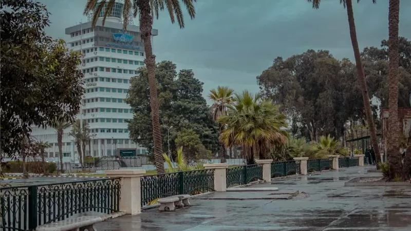 العاصفة ياسمين في الإسماعيلية..شوارع خالية وبرودة وأمطار