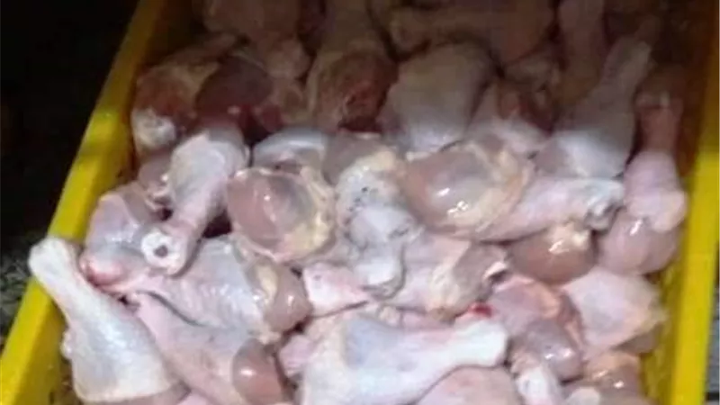بيطري الشرقية يحرر 3 محاضر ويضبط 426 كيلو دواجن و لحوم فاسدة ..صور