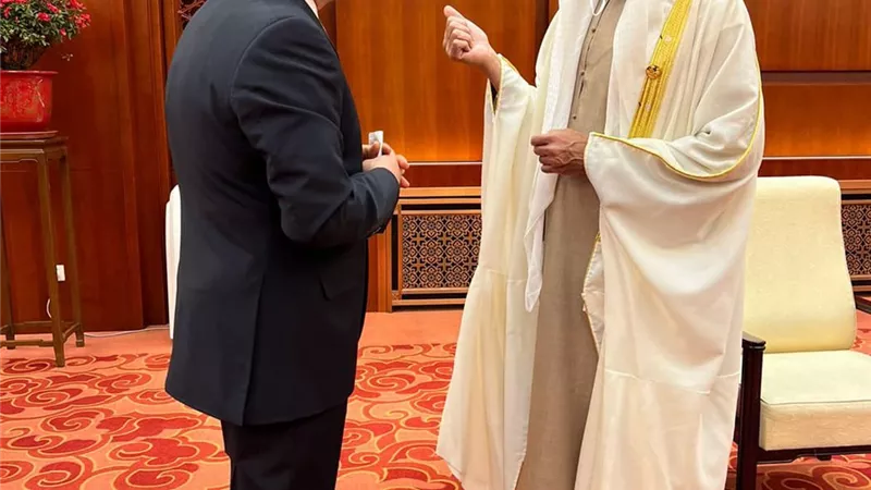 الرئيس السيسى يجرى محادثات مع عدد من رؤساء الدول ببكين..صور