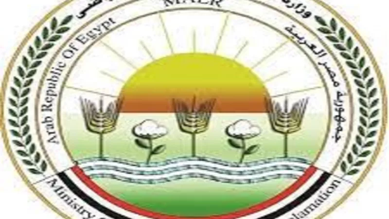 الزراعة: مصر تنتج ٢ مليون طن أسماك سنويا وتحتل المركز الأول أفريقيا والثالث عالميا