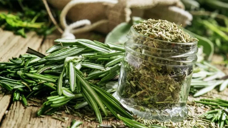 اعشاب الروز ماري تحارب فيروس كورونا