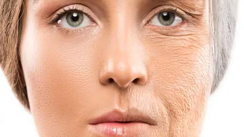 رئيس 