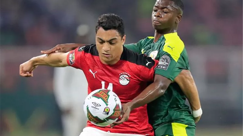 أبو الدهب: لاعبو المنتخب خاضوا البطولة بروح قتالية