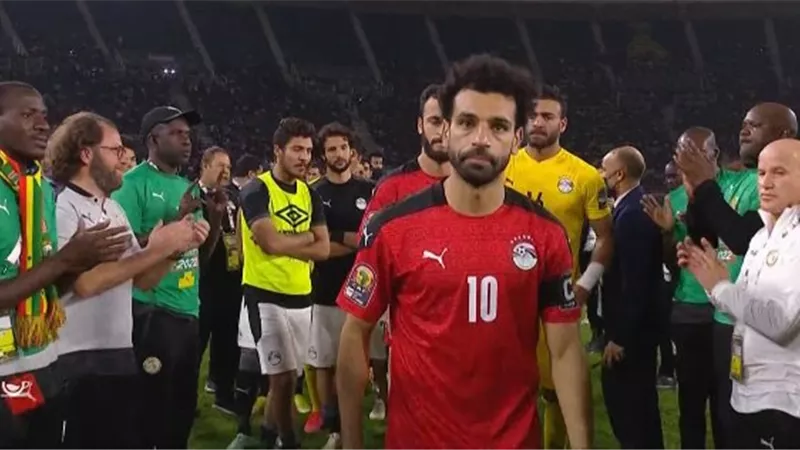 نجوم الوسط الفنى يدعمون لاعبى المنتخب 