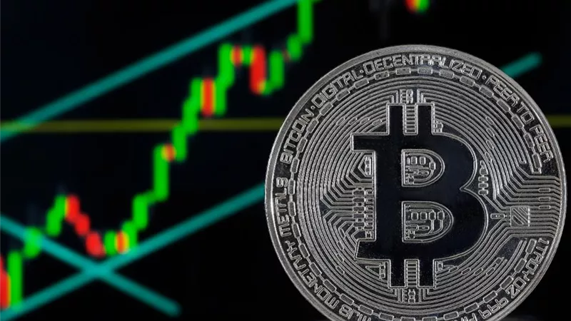 ارتفاع العملة الرقمية شيبا إينو