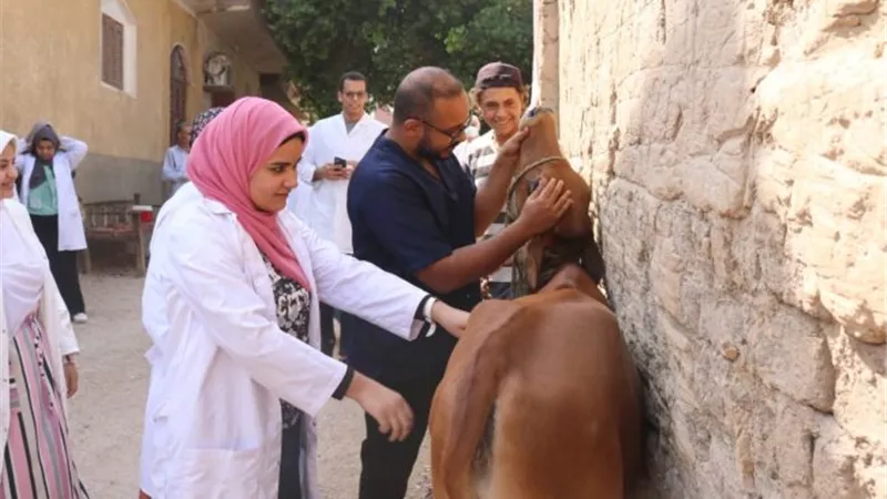 جامعة جنوب الوادى تنظم 183 قافلة شاملة فى اطار مبادرة حياة كريمة