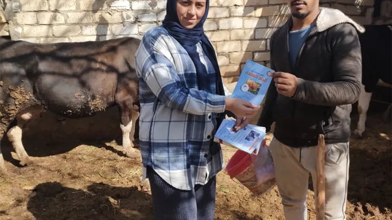 تحصين 4595 رأس ماشية ضد مرض الجلد العقدى وجدري بالسويس