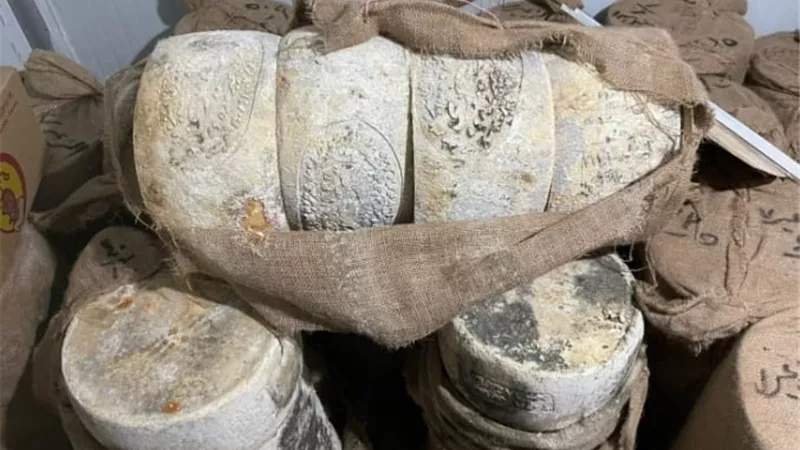ضبط كمية كبيرة من الجبن الرومي الفاسد بالإسكندرية