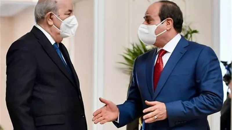 الرئيس السيسى يتلقى اتصالا هاتفيا من نظيره الجزائرى