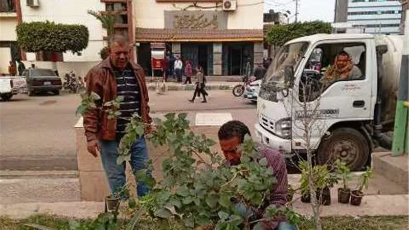 حملات نظافة وتجميل ورفع إشغالات بالشرقية