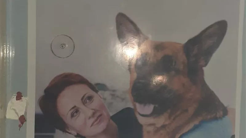 غلق عيادة بيطرية غير مرخصة بقنا خلال حملة مكبره