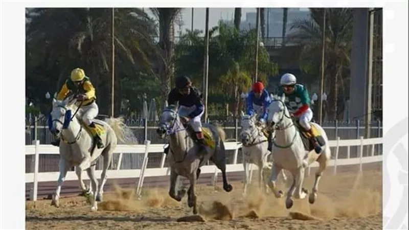 انطلاق مهرجان الخيول العربية الثالث السبت بالجزيرة