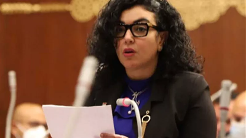 عضو ”خارجية الشيوخ”: مصر لا تفرط في حقوقها.. وتتعامل مع الأزمات الخارجية باحترافية غير مسبوقة